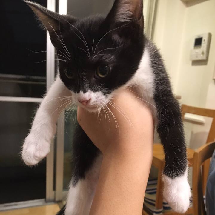 939c2e66 1c76 485e b08c 54d8f18da7ab 1508377022641