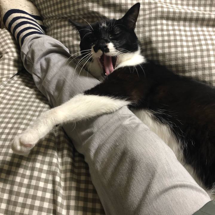 939c307f 31f0 472e 974a 0f60e0721e6c 1554901123806