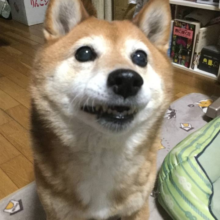 939c4c04 574c 4abd 8e84 54d3bf2ed517 1615367109772