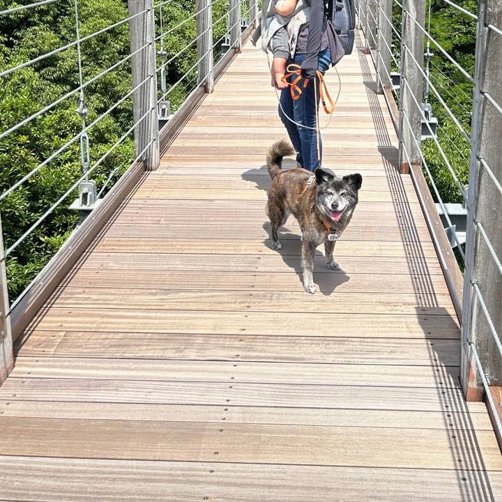 939c5079 7ed1 4bd7 90b1 de9c3594a2ac 1719708872945