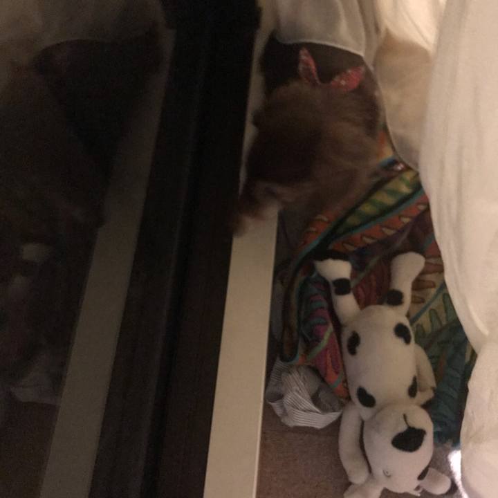 939c5602 74bb 48c8 a796 9b31abff93f1 1598021464751