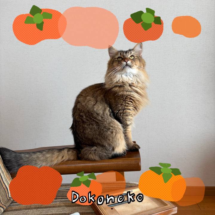 939c5653 bf7d 4f9f b189 bfe34bf6e6c0 1761788218289