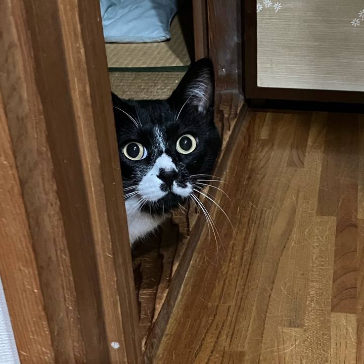 939cbe09 37cc 4964 880c 5b2be2635ef2 1668051444677