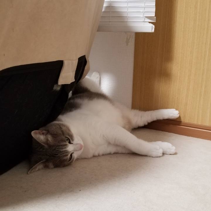 939ce206 64be 4a25 ab4b 0bbb6068010b 1637751784179