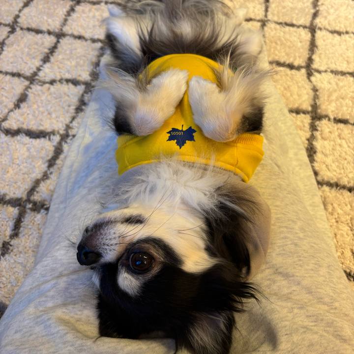 939cf205 421f 4243 8e52 02e282a02dc6 1736008707433