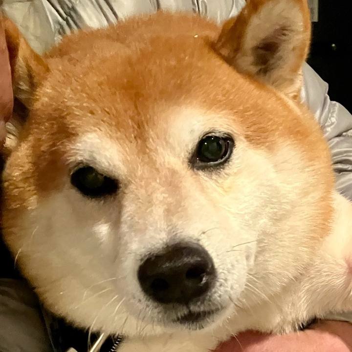 939cf22d 3e95 40ca 99fc c6d486dfcef9 1763860041777