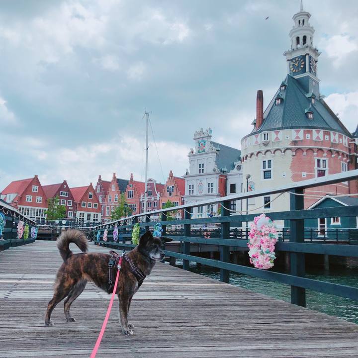 939d0e00 a44e 43d9 9ddb b33d9463283b 1620031945714