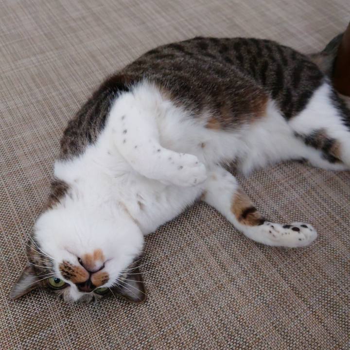 939d11c0 a8d1 42bf 9db4 90d887f7d676 1766124668300