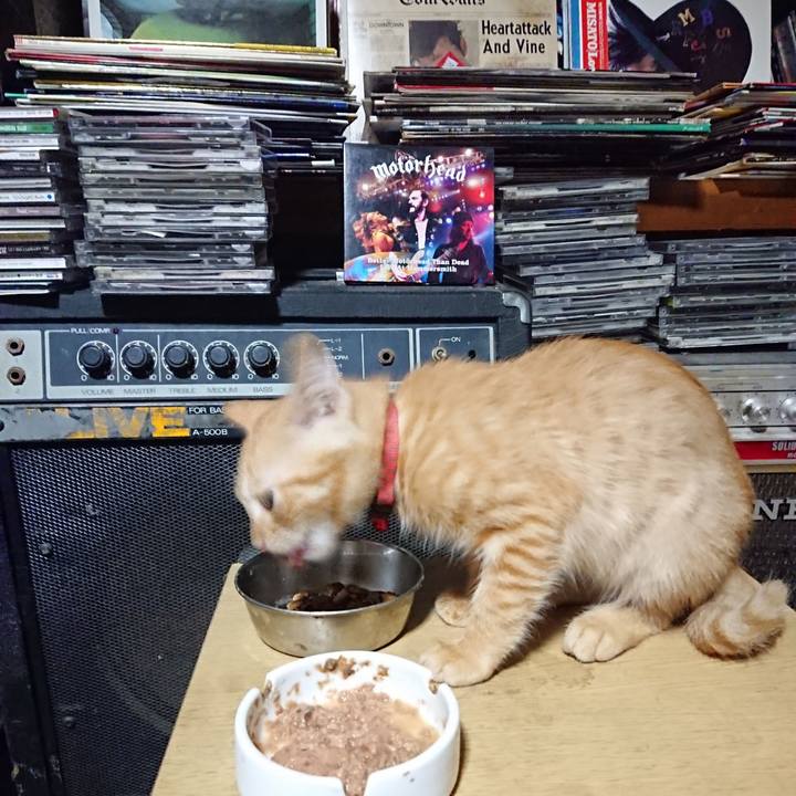 939d1dea df04 4ad5 971e 387277c4fb44 1631965315309