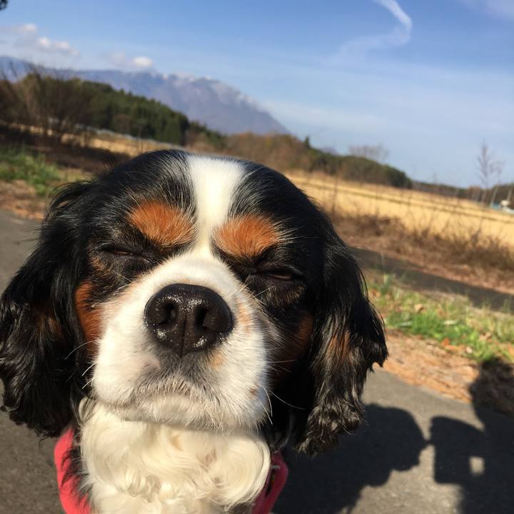 939d4c82 3ba3 4a8e aae1 840413b37e1e 1510628347712