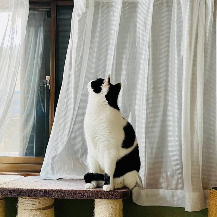 939d4e9d 389a 4e15 a4c2 3c6220c1b5a1 1610073140851