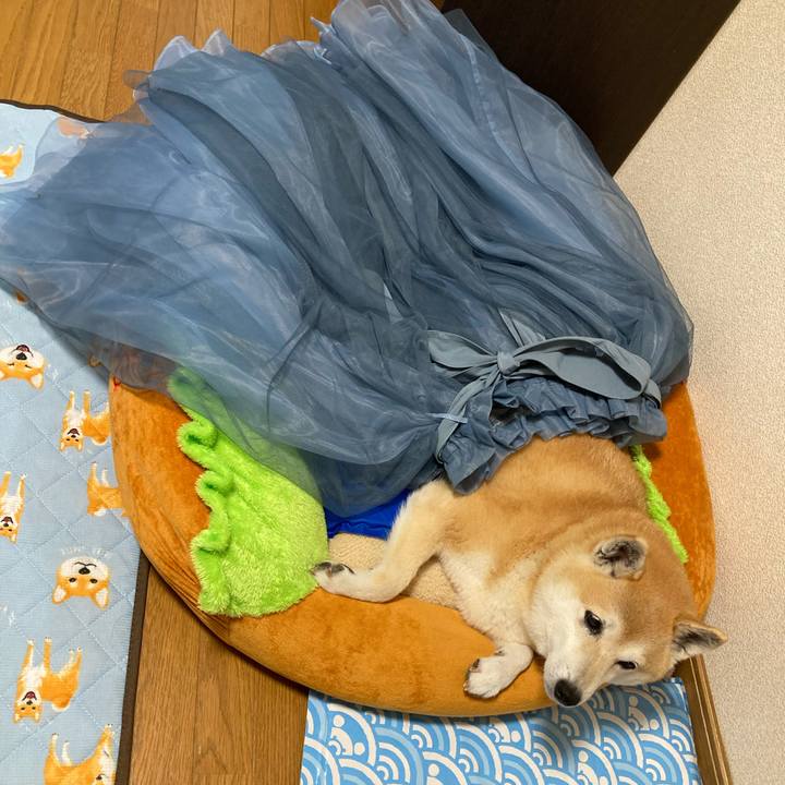 939d7e63 949f 4bc9 af2f 672680804c12 1625488517818