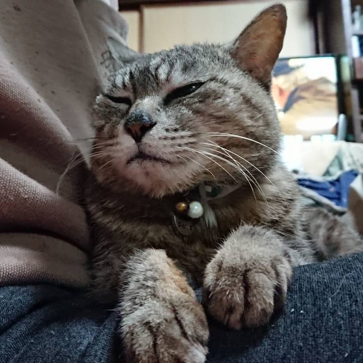 939da427 f819 4a7f 847f 50609723bf28 1560254512822