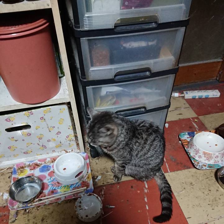 939db4be 397c 41bc aa58 5d2e71a68e5f 1581278187192