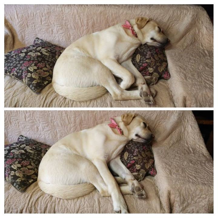 939df470 23a3 4394 8efc abb30caca183 1552115494814