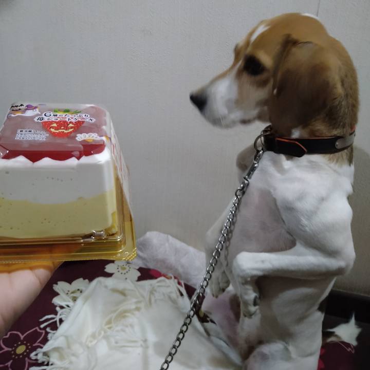 939dfbdd 2ffb 4327 80b3 0befcebbf310 1635681170226