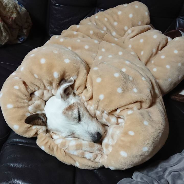 939e00df f444 43ec bf5a f73c96c21ac5 1574897208522