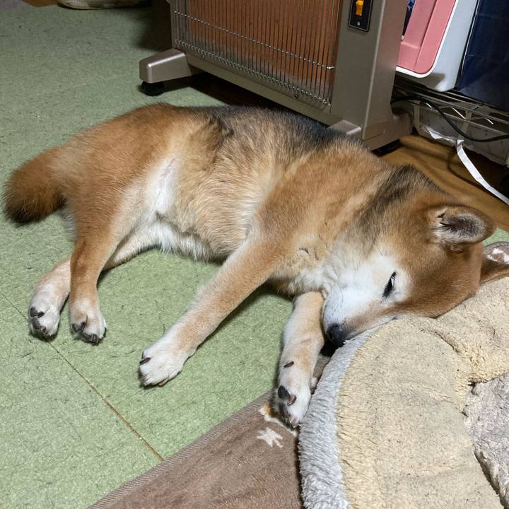 939e1cfa 1729 4e91 8547 8908f3e0b9c7 1742907447382