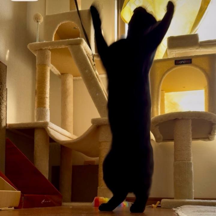 939e845a a6ae 4d8d a329 a0794458b74c 1742774621036