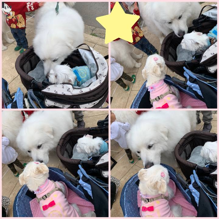 939ea219 693b 41e2 8b64 0fa7cfa35532 1639307207692