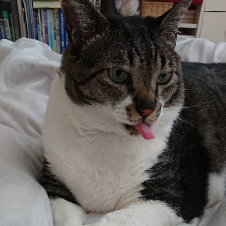 939ec357 65ab 455c 9f34 e18fdbb0c1ac 1558485226633