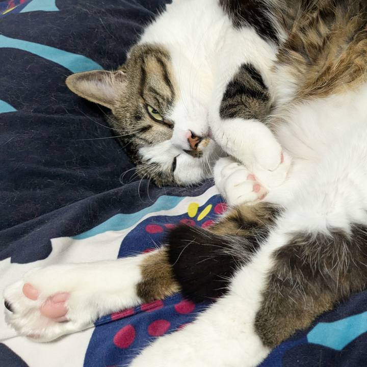 939edbde 3162 4afe b34b 05fd376cbc56 1744107603322