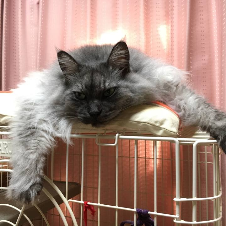 939edc20 8960 4426 ac4b 60d4300a0bbe 1513261586570