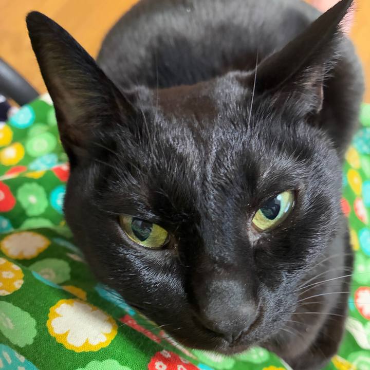 939f0d74 67fc 43f5 b002 9f86df81be9c 1767414919161