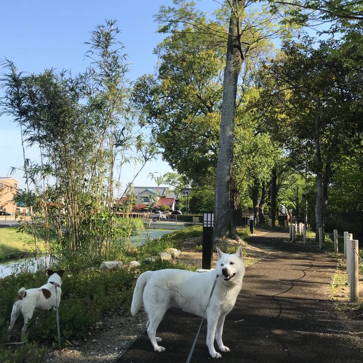 939f26c6 3594 4135 b5ae bdf8c6de8b18 1524361183222