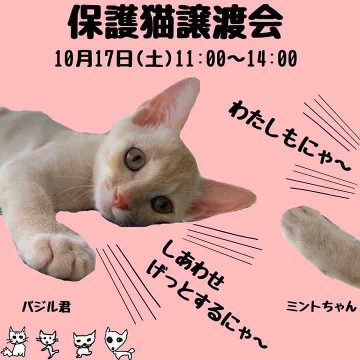 939f2b19 d528 4dc2 bd93 57384e893e4f 1601800987825