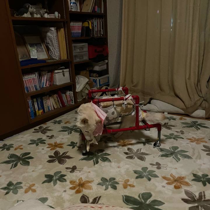 939f3a42 d841 4442 82eb 9fa496bccc8d 1672079515806