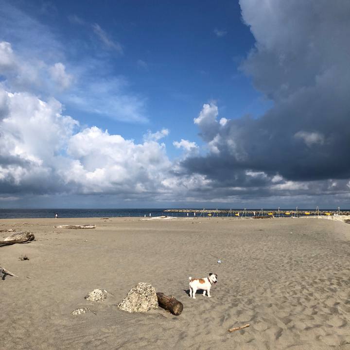 939f6b54 fb8b 4b62 b4c4 89bcd87138a1 1597704264017