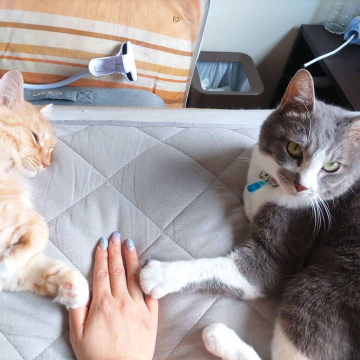 939f8d65 4a1d 4025 9f83 7f6d693cd51b 1689817903384