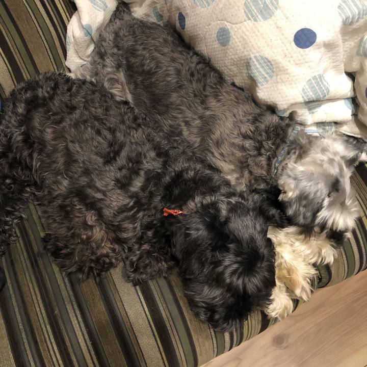 939fa78c 01cc 4ea5 9043 73b6a0c32e9d 1535551753026