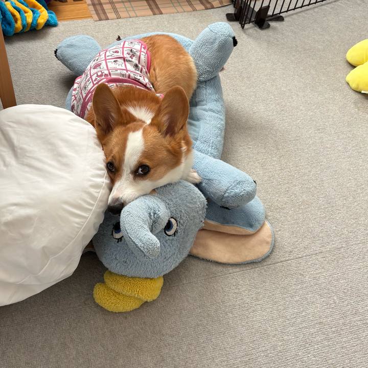 939fa826 519c 4fee a5f5 19f380a07e48 1762153564128