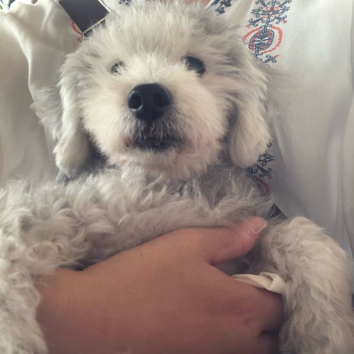 939fad5d d9a9 420f 9a29 7661f9426d8a 1601691851862