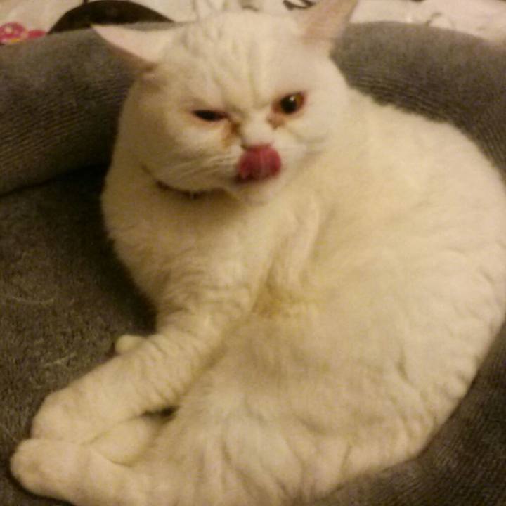 939fadf1 f8f0 444f 8cbe 85f0de91c3bb 1518960999608