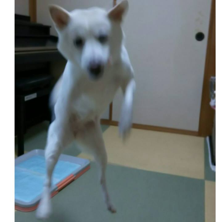 939fcbd9 5d10 4abc b4c2 46bf4ca19015 1543404330012