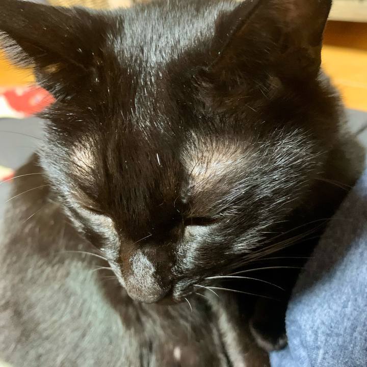 939fce9c d331 4266 b807 17e3650cc060 1634386383236