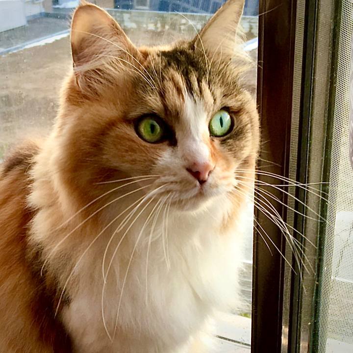 939ffd55 f9e5 4317 b8f0 50b91b3ee8cf 1611643570959