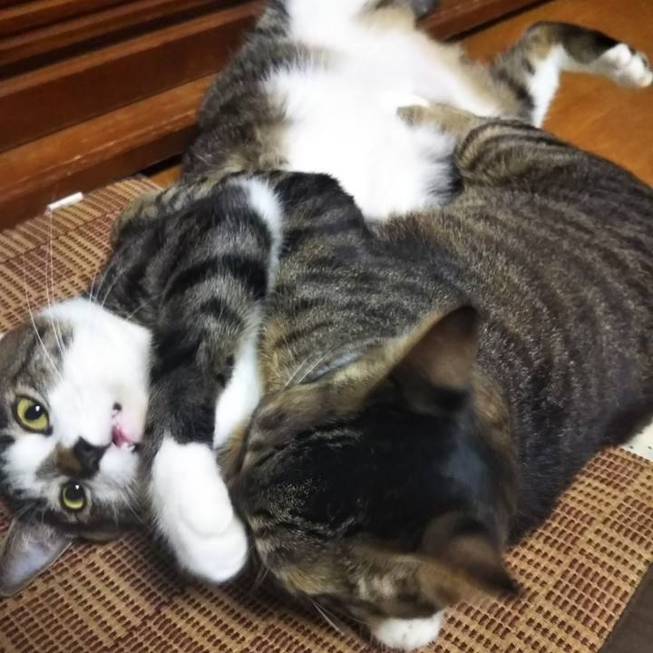 93a010a0 940d 4293 aaa3 e9ea7ce774eb 1609170521847