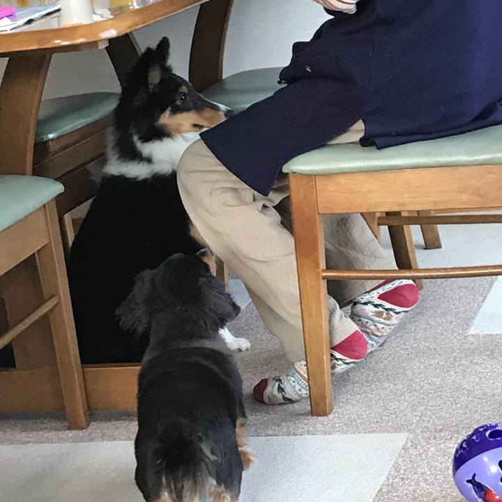 93a012a9 9311 48ce 9e67 5530bbb2a90a 1519516904131