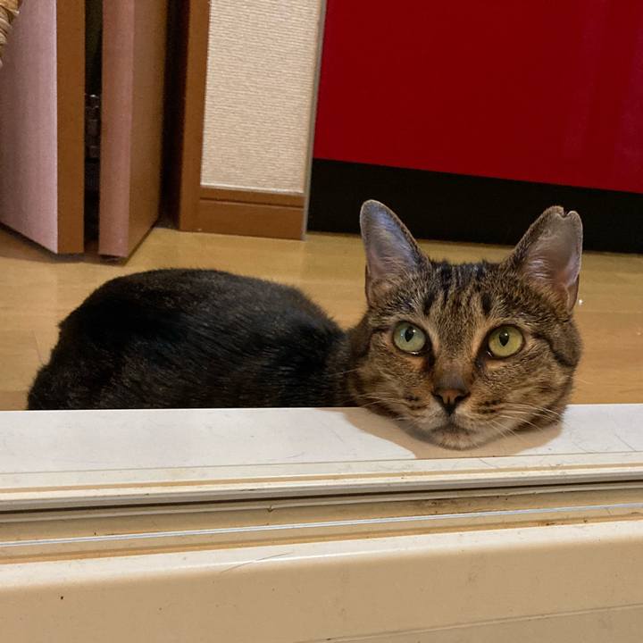 93a02058 2df1 40ec a321 0480f33eb041 1622282391694