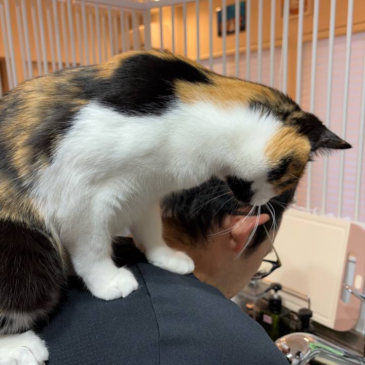 93a029b6 8cf4 4c85 8461 63c5ff6c592f 1772979319156