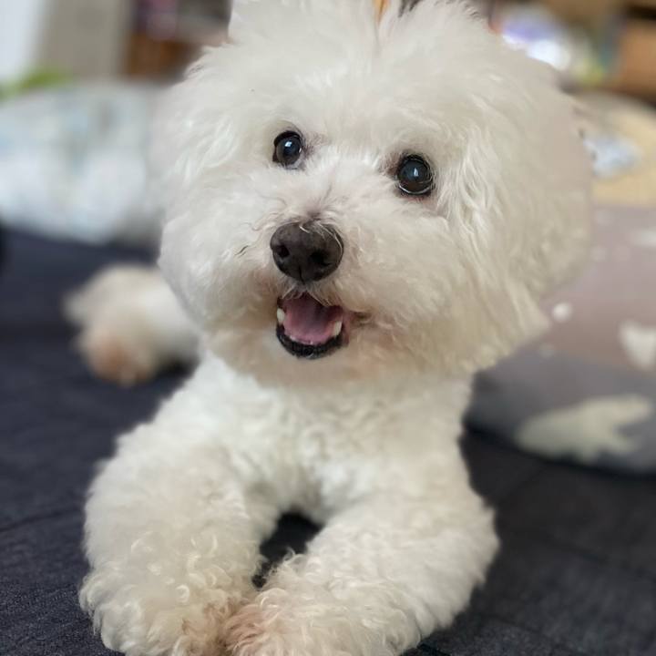 93a02e99 2abc 426b 9e1b adb82a28b84e 1656320827234