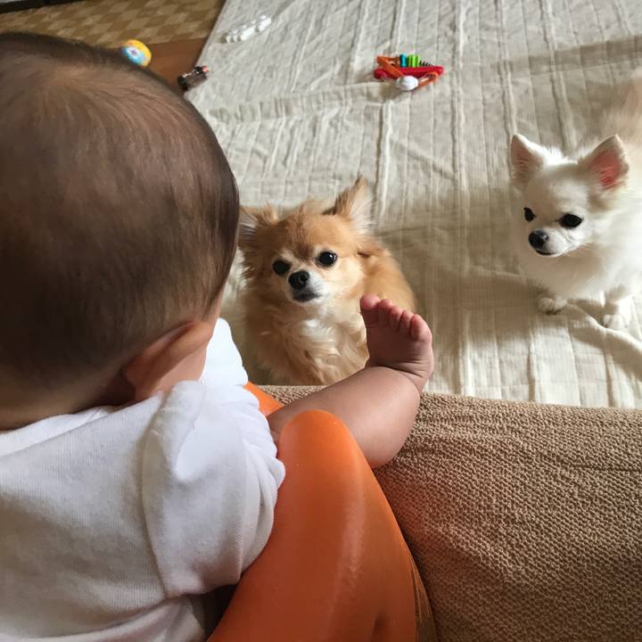 93a04b6e 96cc 4028 8dda 4f616bc6e90d 1526396150416