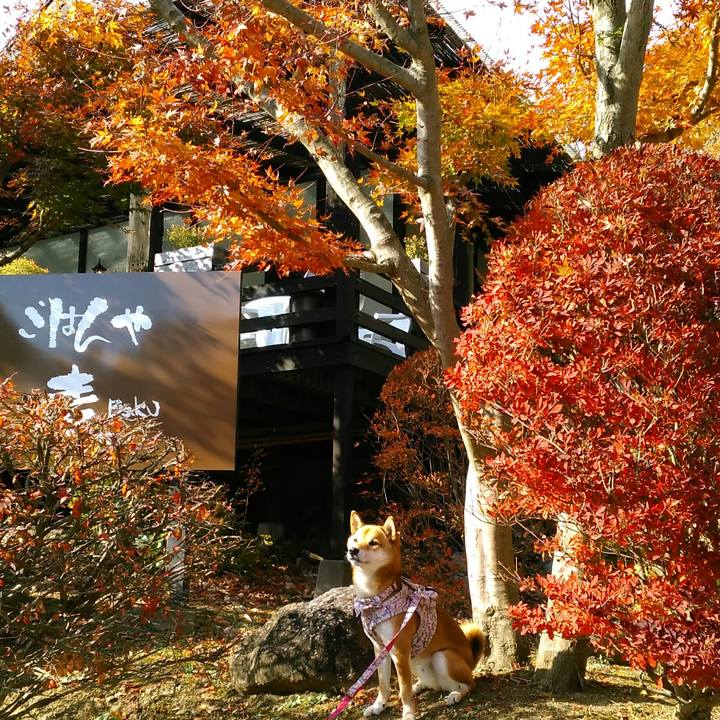 93a0851c d8ea 4a5a 94d0 5e38a1600ba3 1510550381129