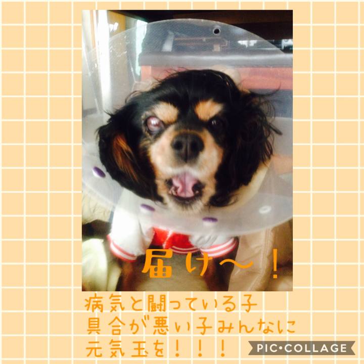 93a0950c 3b5d 43c2 8af0 f535bcabcc78 1540534884755