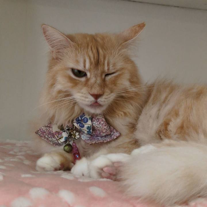 93a0cc38 4a63 41a7 b8a3 e2c756f5f622 1757677304734