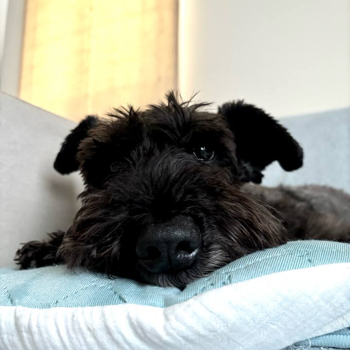 93a0d5c1 c0ea 47ef 992d 6f5481acd6d2 1748655319759